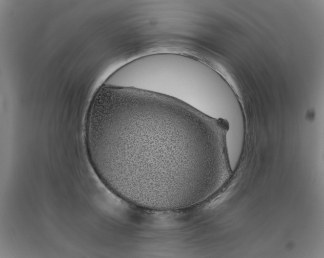 X0000091960803200709271345