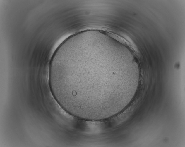 X0000091960804200709271345