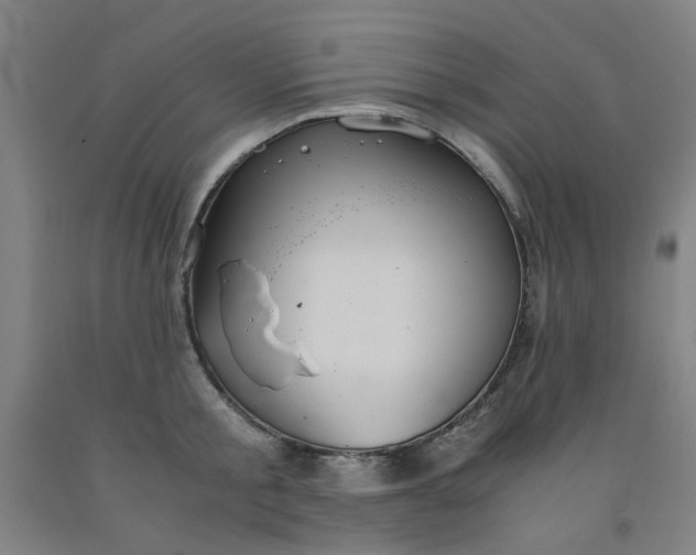 X0000091960805200709271345