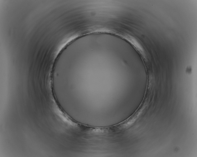 X0000091960806200709271345