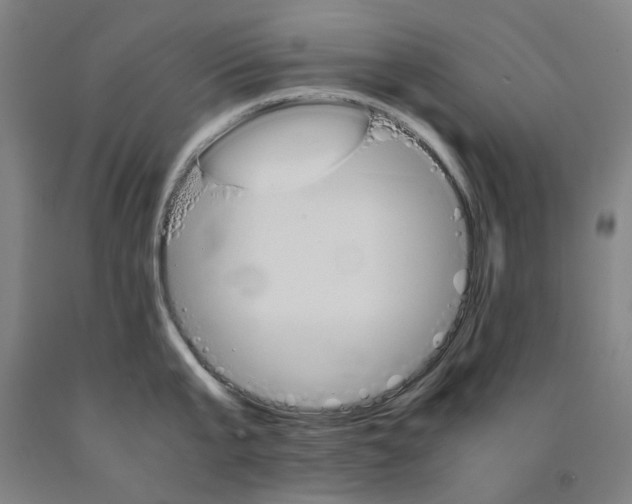 X0000091960807200709271345