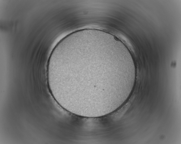 X0000091960808200709271345