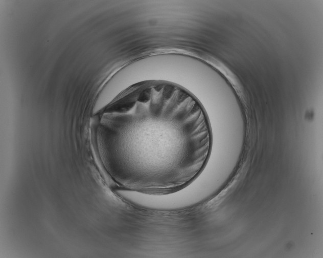 X0000091960809200709271345