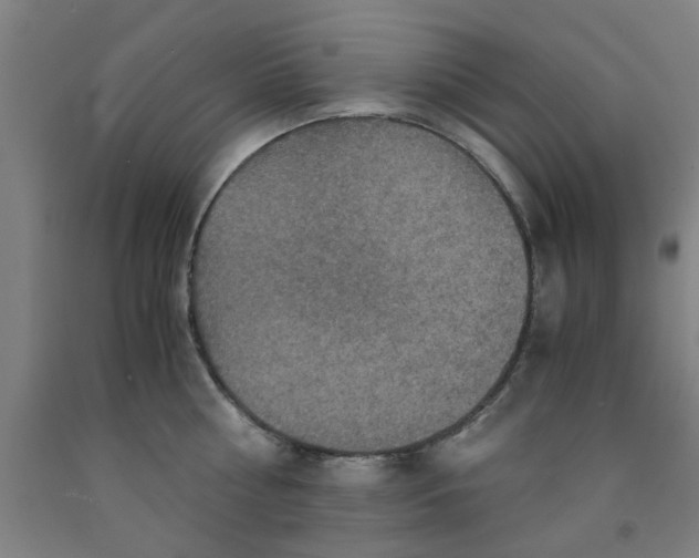 X0000091960810200709271345