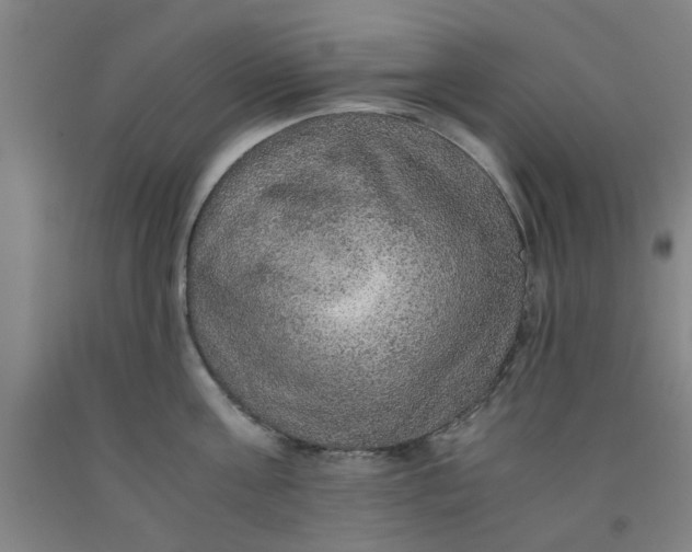 X0000091960811200709271345