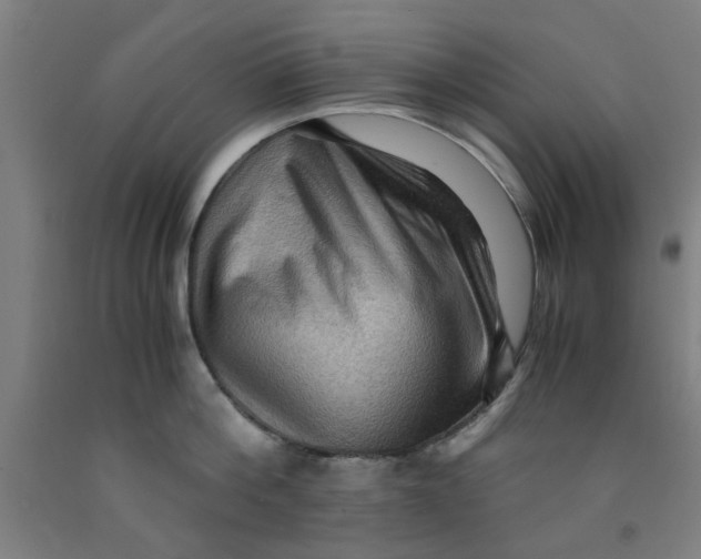 X0000091960812200709271345