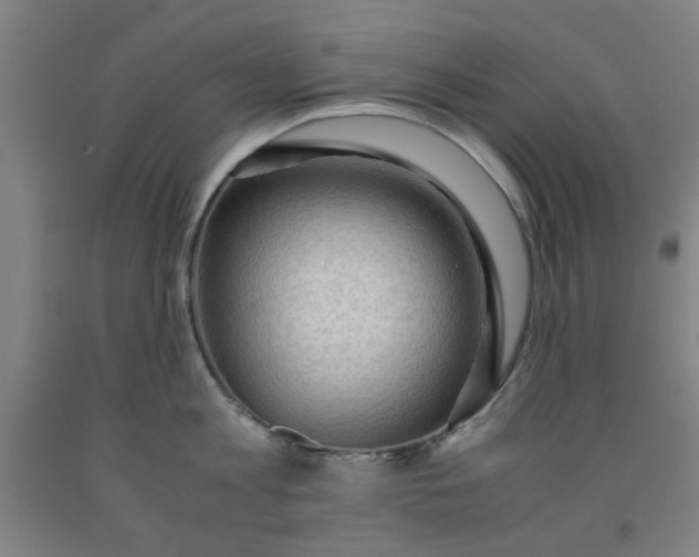 X0000091960813200709271345