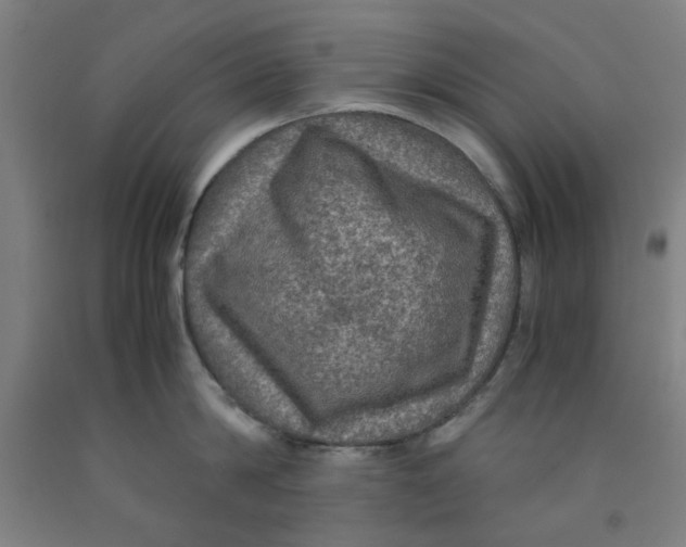 X0000091960814200709271345