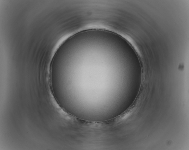 X0000091960815200709271345