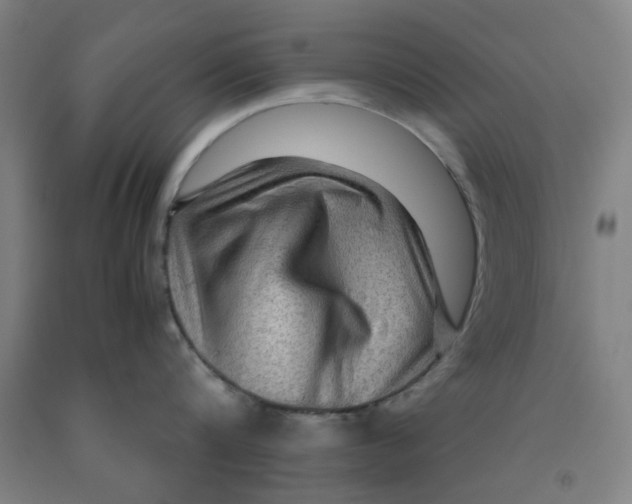 X0000091960816200709271345