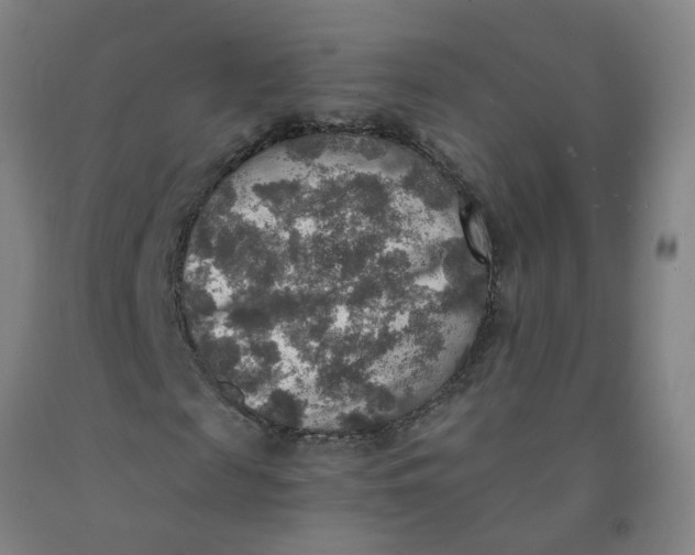 X0000091960817200709271344