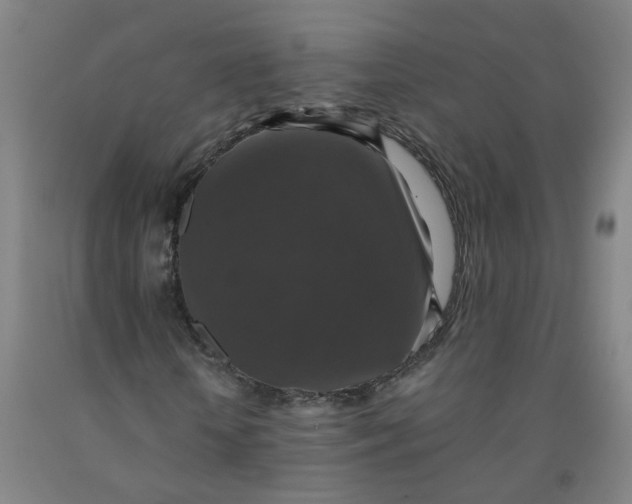 X0000091960818200709271344