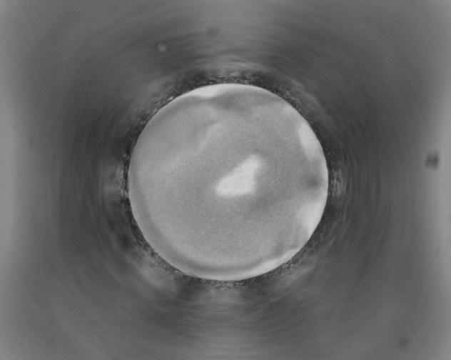 X0000091960820200709271344