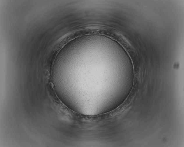 X0000091960821200709271344