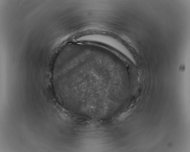 X0000091960822200709271344