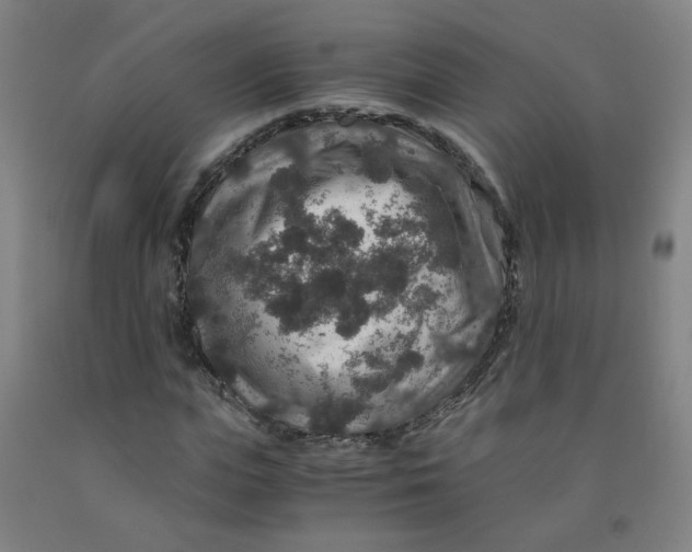 X0000091960823200709271344