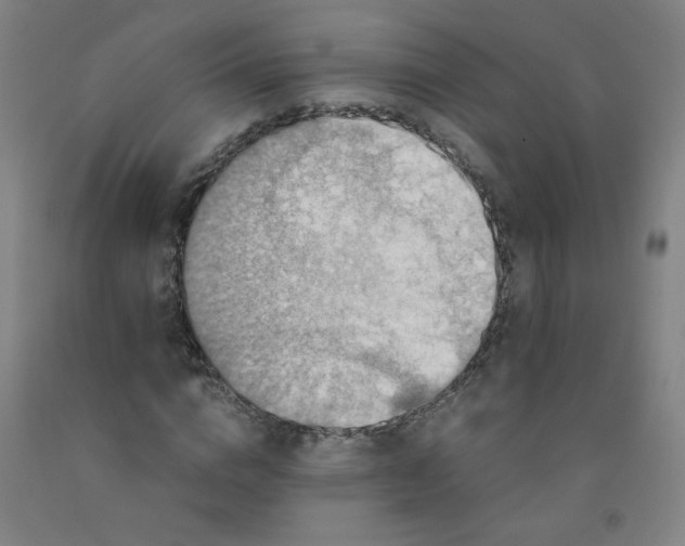 X0000091960824200709271344