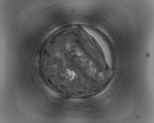 X0000091960825200709271344