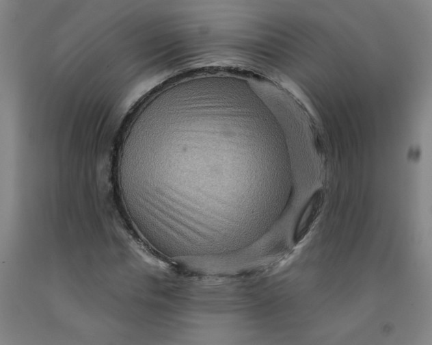 X0000091960826200709271344