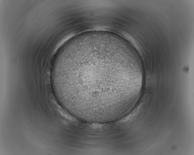 X0000091960827200709271344