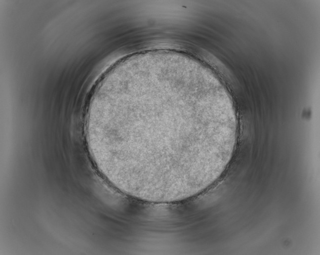 X0000091960828200709271344