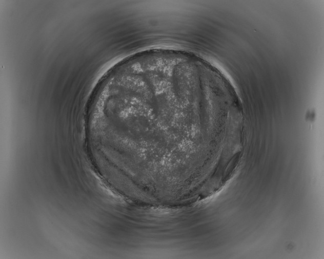 X0000091960829200709271344