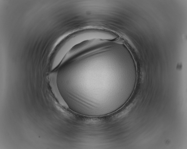 X0000091960830200709271344