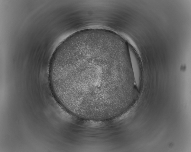 X0000091960831200709271344