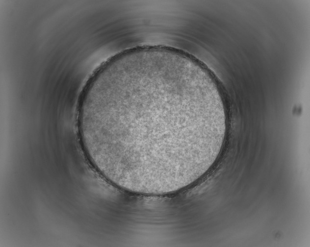 X0000091960832200709271344