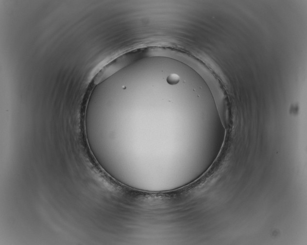 X0000091960834200709271344