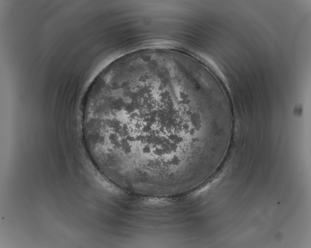 X0000091960835200709271344