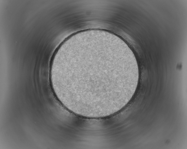 X0000091960836200709271344