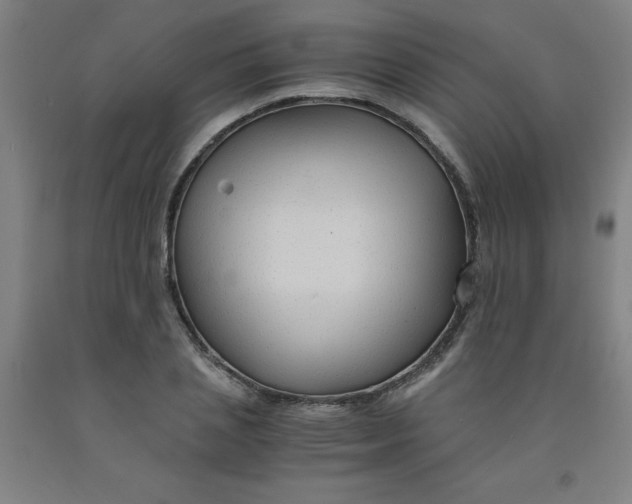 X0000091960837200709271344