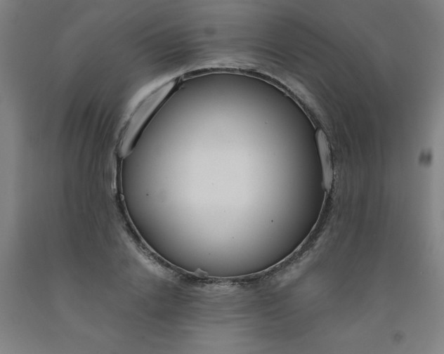 X0000091960838200709271344