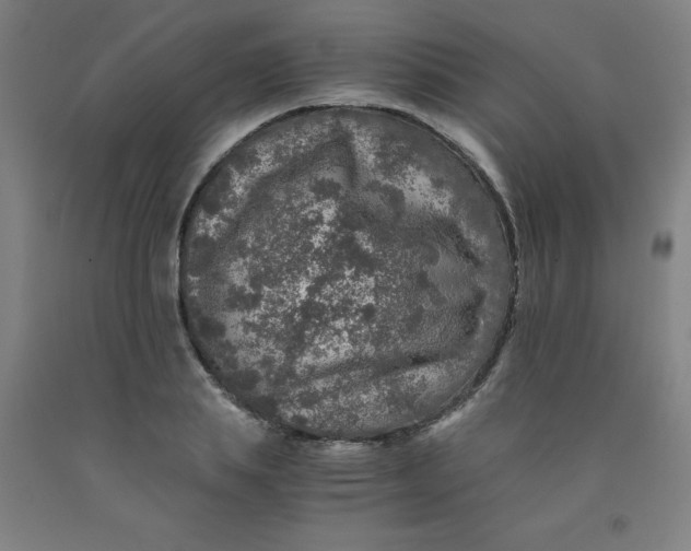 X0000091960839200709271344