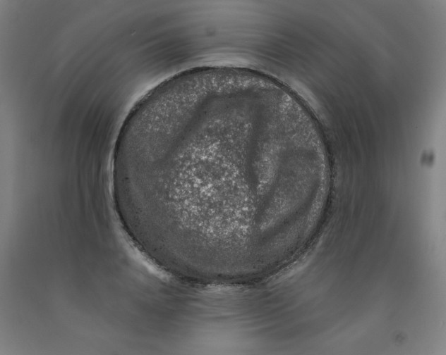 X0000091960840200709271344