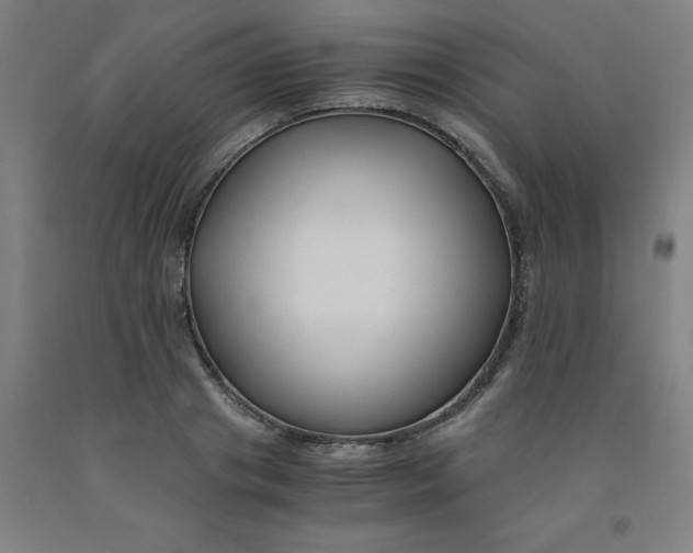 X0000091960841200709271344