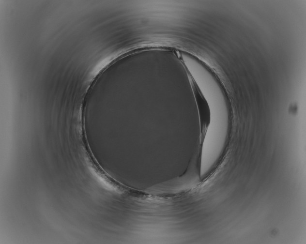 X0000091960842200709271344