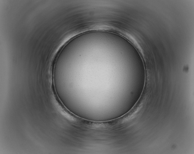 X0000091960843200709271344