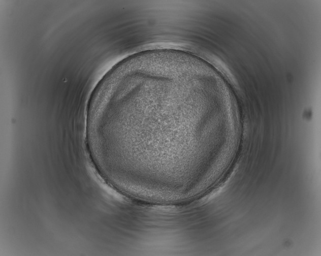 X0000091960844200709271344