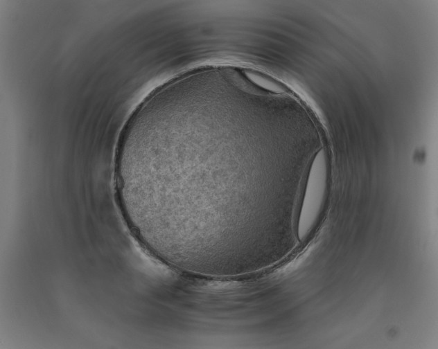 X0000091960845200709271344