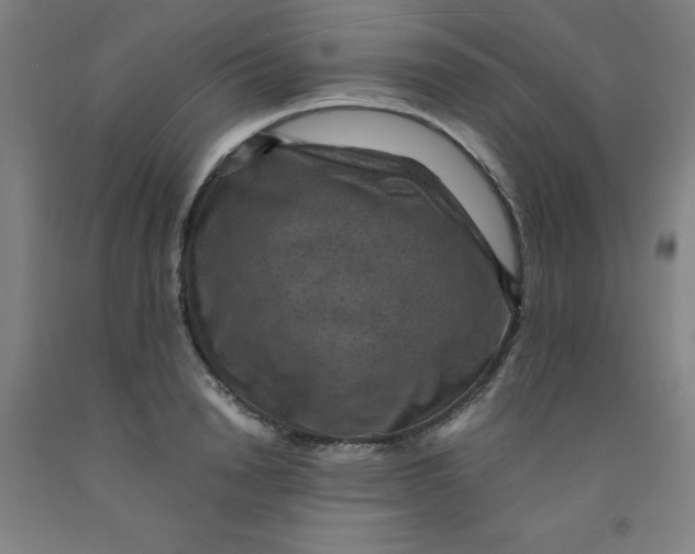 X0000091960846200709271345