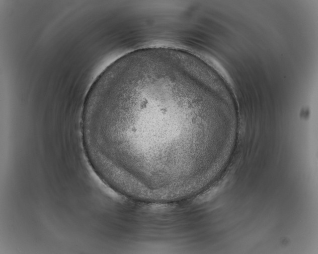 X0000091960847200709271345