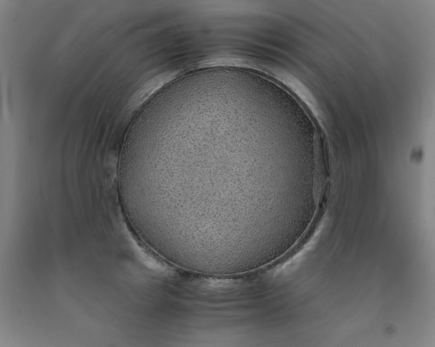 X0000091960849200709271345