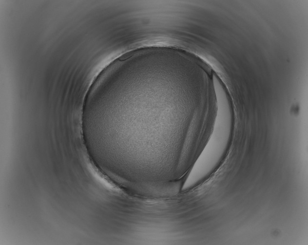 X0000091960850200709271345