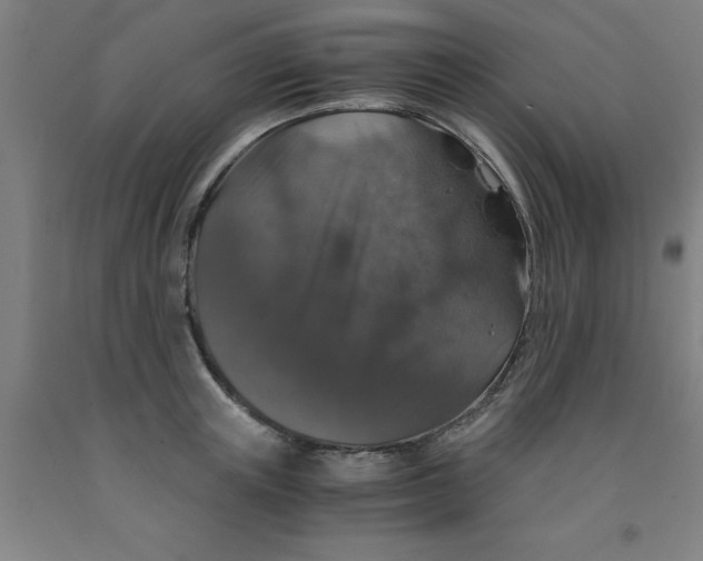 X0000091960851200709271345