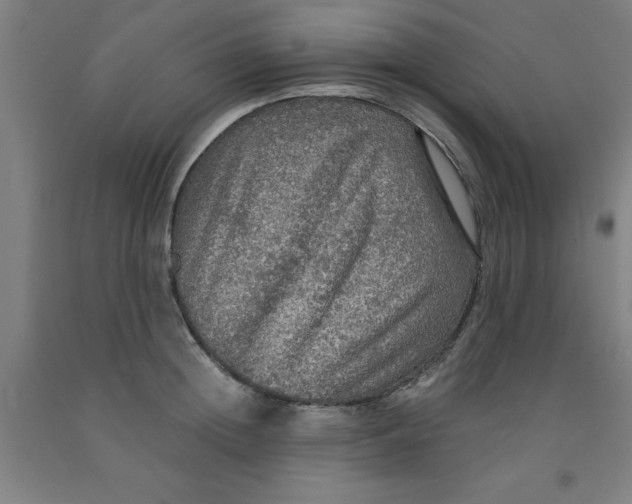 X0000091960852200709271345