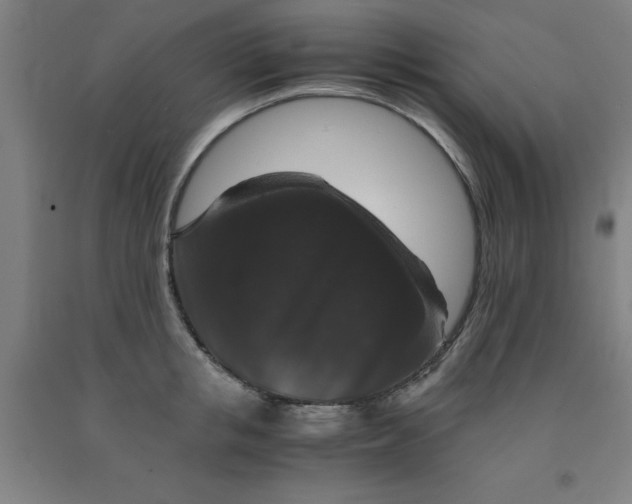 X0000091960853200709271345