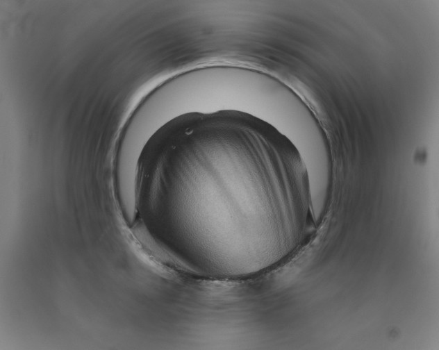 X0000091960854200709271345