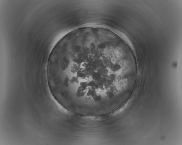 X0000091960855200709271345